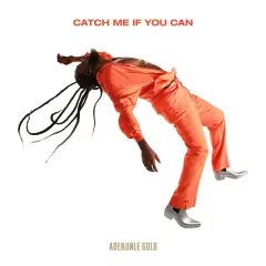Catch Me If You Can cover