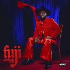 Fuji cover