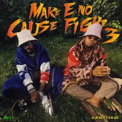 Make E No Cause Fight 3 cover