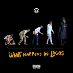 What Happens in Lagos cover