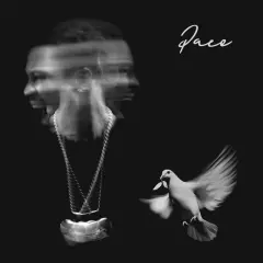 Pace cover