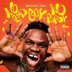 No Bad Boy, No Party cover