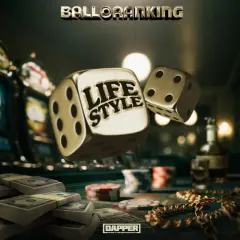 Lifestyle cover
