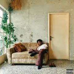 Sanity cover