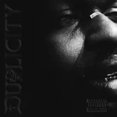 Duplicity cover