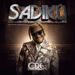 Sadiku cover