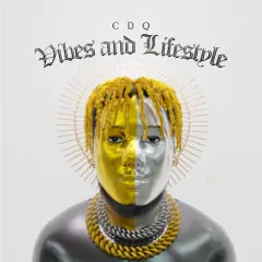 Vibes and Lifestyle cover