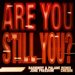 Are You Still You? (Badbwoy & Palane Remix) cover