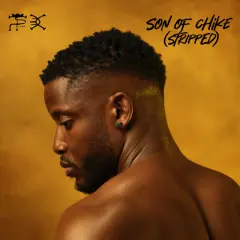 Son of Chike (Stripped) cover