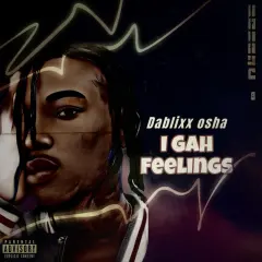 I Gah Feelings cover