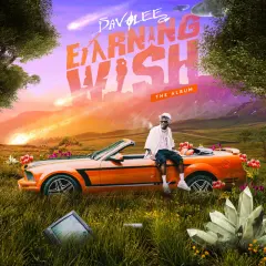 Earning Wish cover