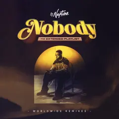 Nobody: The Extended Playlist (Worldwide Remixes) cover