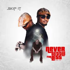 Never Settle for Less (NSFL) the EP cover