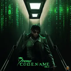 Codename, Vol. 2 cover