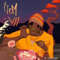 ITEM VII cover