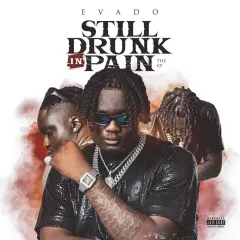 Still Drunk in Pain cover