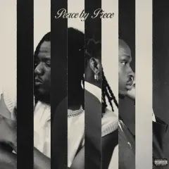 Peace by Piece cover