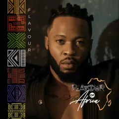 Flavour of Africa cover