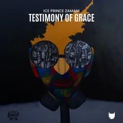 Testimony of Grace cover