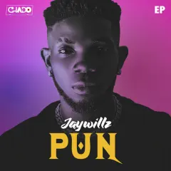 P.U.N cover