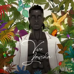 Viva Lavida cover