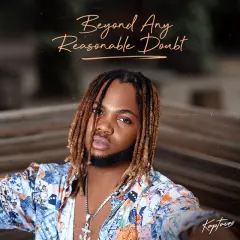 Beyond Any Reasonable Doubt cover