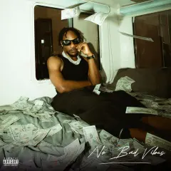 No Bad Vibes cover