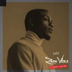 ZaZa Vibes (Extended Version) cover