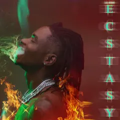 Ecstasy cover