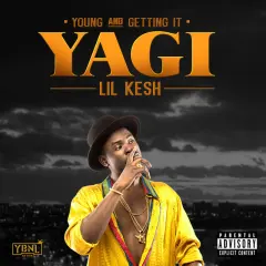 Yagi cover