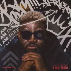 I Am Dodo cover