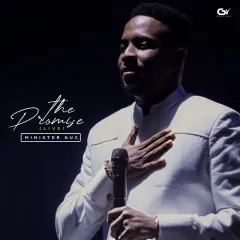 The Promise (Live) cover