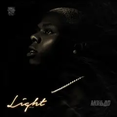 Light cover