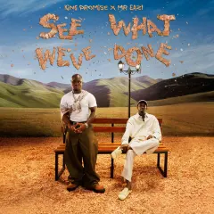 See What We've Done cover