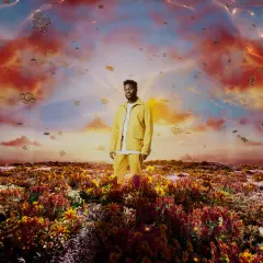 When It Blooms cover