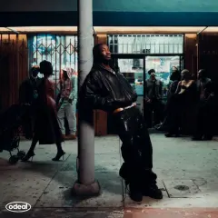 The Fall That Saved Us cover