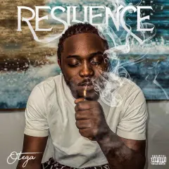 Resilience cover