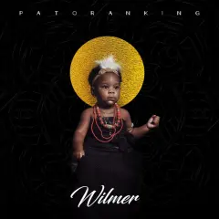Wilmer cover