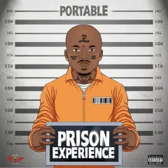Prison Experience cover