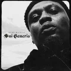 Sui Generis cover