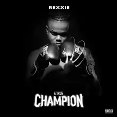 A True Champion cover