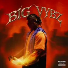 BIG VYBZ cover