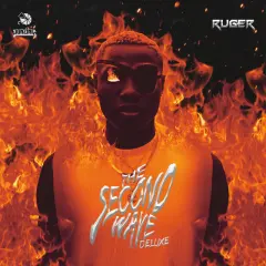 The Second Wave (Deluxe) cover