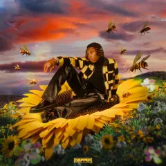 Mr Bee cover