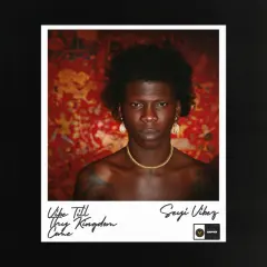 Vibe Till Thy Kingdom Come cover