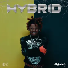 HYBRID cover
