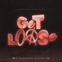 Get Loose cover