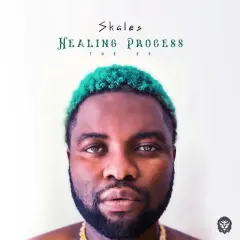 Healing Process cover