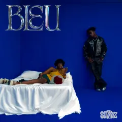 Bleu cover