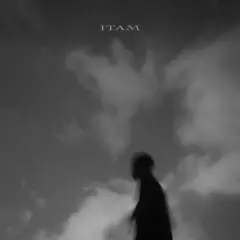 I.T.A.M. cover